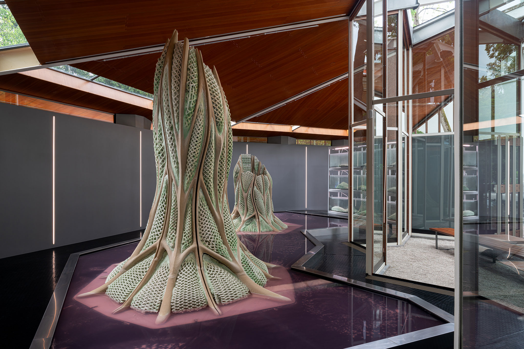 Picoplanktonics at the Canada Pavilion as part of the Biennale di
